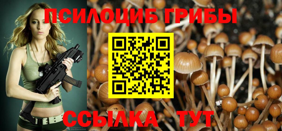 Псилоцибиновые грибы Magic Shrooms  Вход с VPN  хочу   Галлюциногенные грибы GOLDEN TEACHER  Новодвинск 