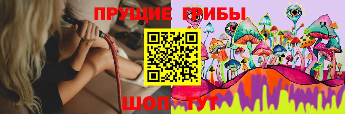 Галлюциногенные грибы мицелий Новодвинск